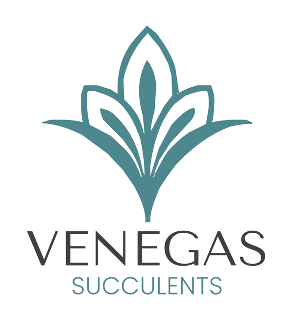 Venegas Succulents